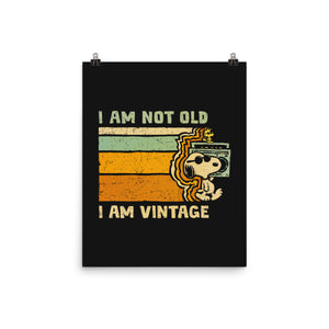 Vintage Vibes