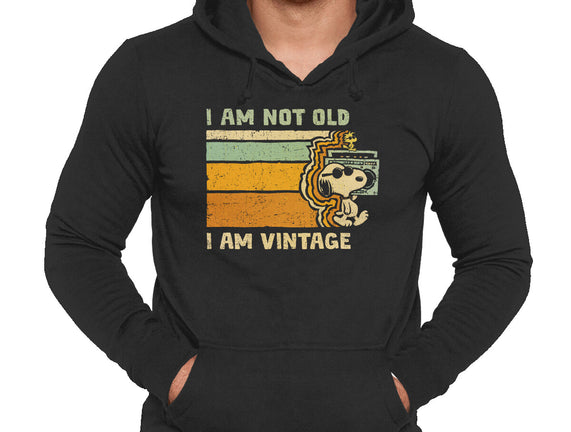 Vintage Vibes