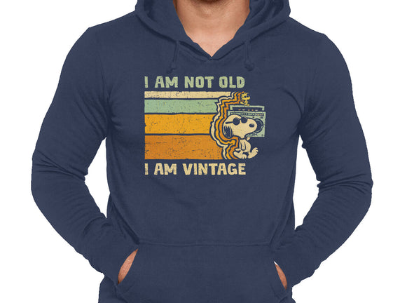 Vintage Vibes