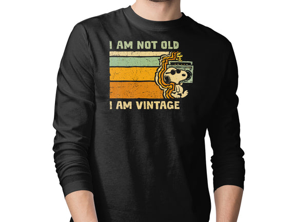 Vintage Vibes
