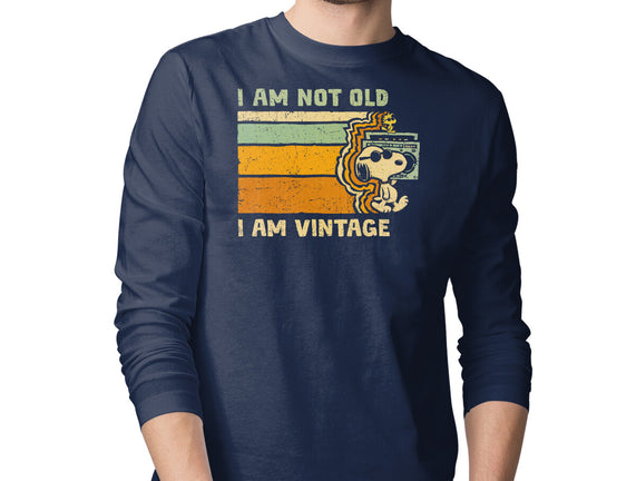 Vintage Vibes