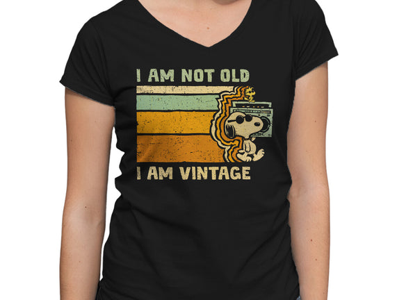 Vintage Vibes