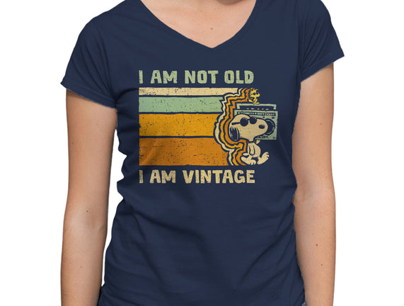 Vintage Vibes