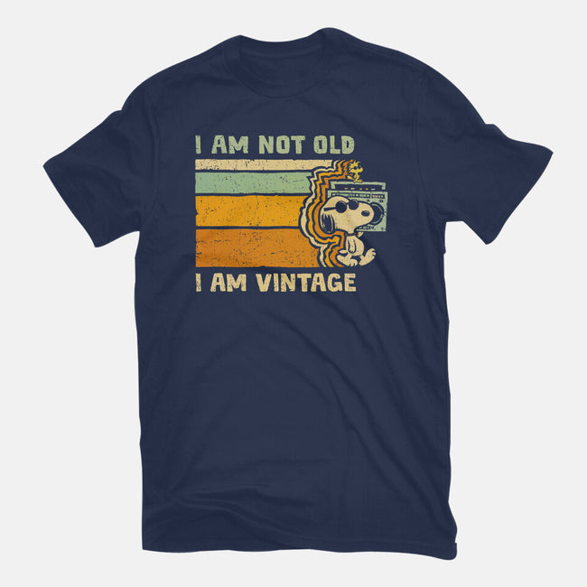 Vintage Vibes-Womens-Fitted-Tee-kg07