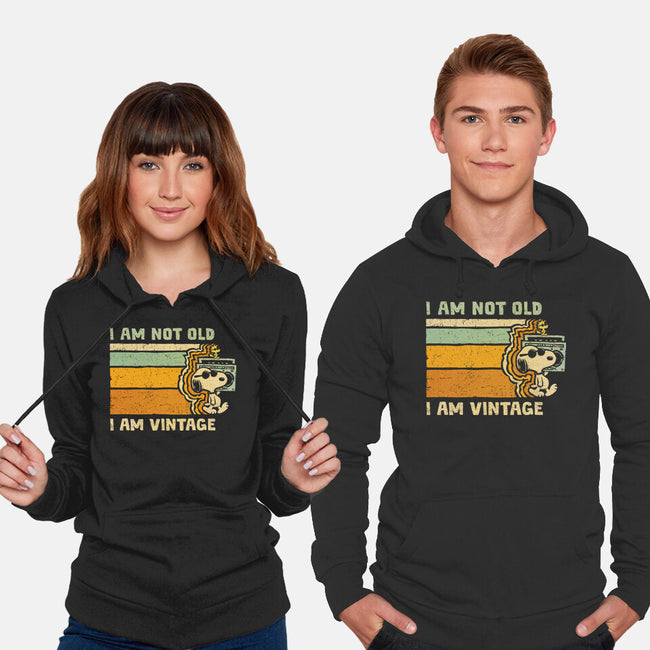 Vintage Vibes-Unisex-Pullover-Sweatshirt-kg07