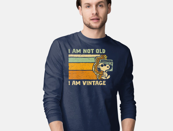 Vintage Vibes