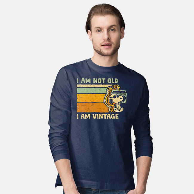 Vintage Vibes-Mens-Long Sleeved-Tee-kg07