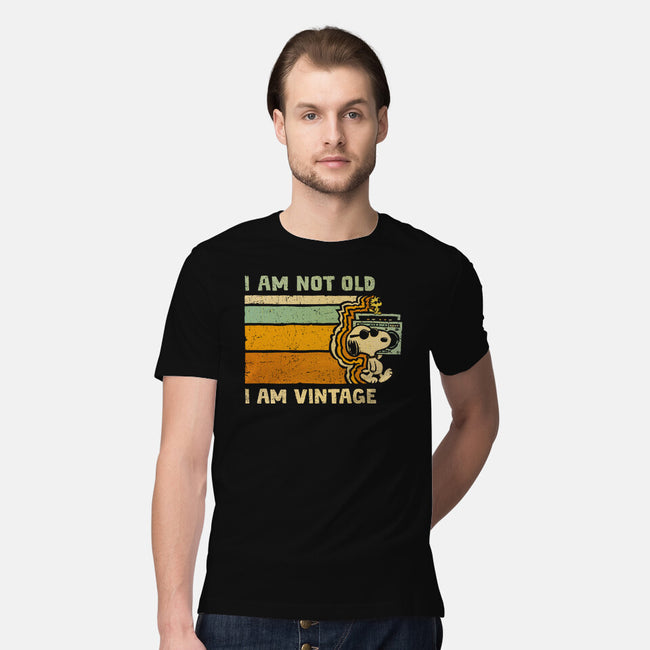 Vintage Vibes-Mens-Premium-Tee-kg07