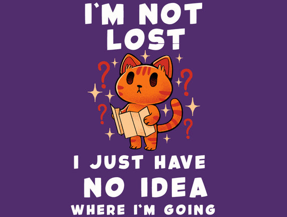 I'm Not Lost