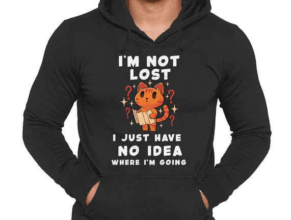 I'm Not Lost