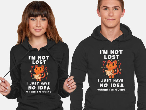 I'm Not Lost