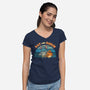 Bat And Robin-Womens-V-Neck-Tee-kg07