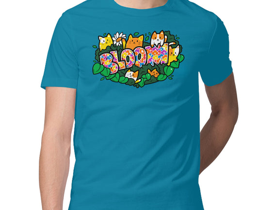 Bloom Spring