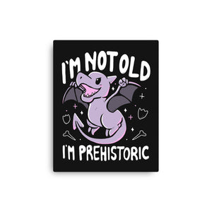 Not Old I'm Prehistoric