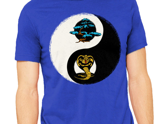Balance Dojo