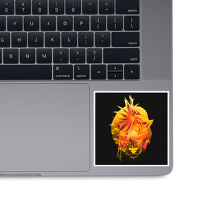 Flaming Tail Specimen