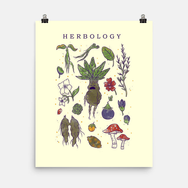 Herbology Class-None-Matte-Poster-yumie