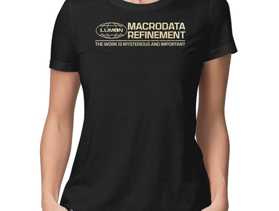 The Work Is Mysterious And Important