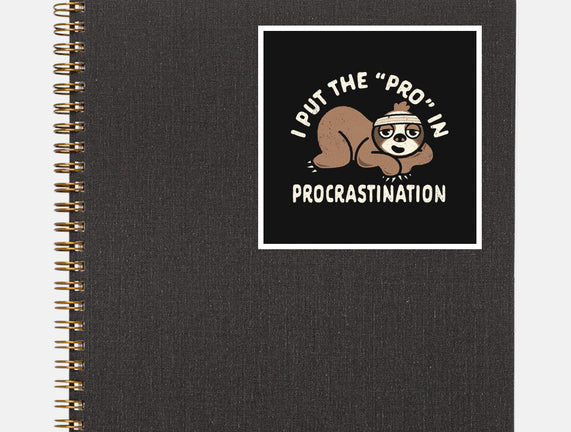 The Pro In Procrastination