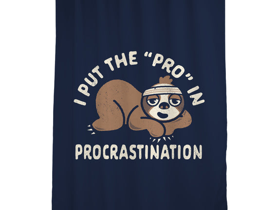 The Pro In Procrastination