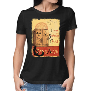 Tournee Du Schrodinger Chat