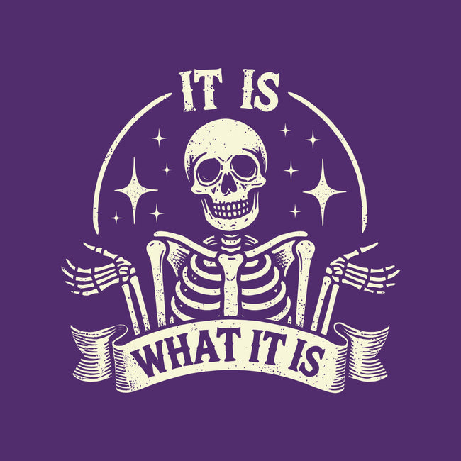 It Is What It Is-Womens-Fitted-Tee-BridgeWalker