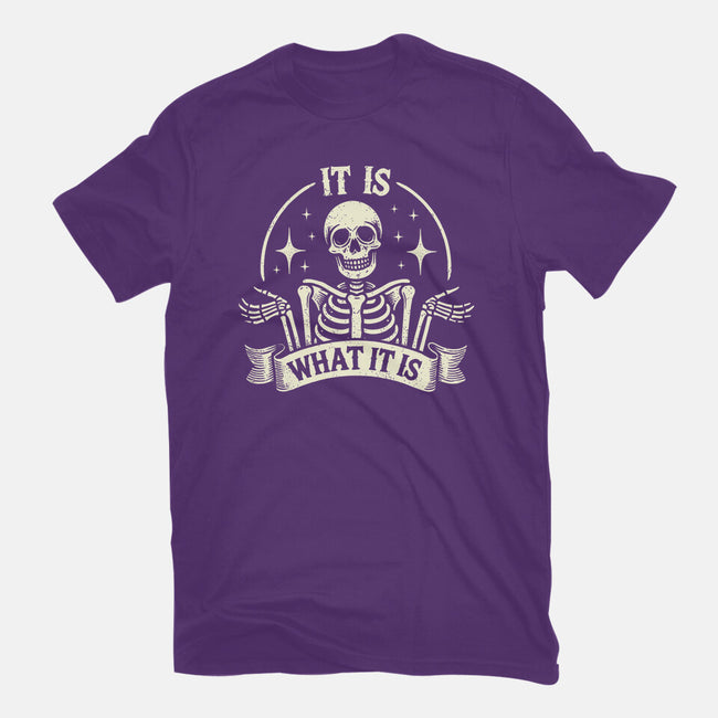 It Is What It Is-Womens-Fitted-Tee-BridgeWalker