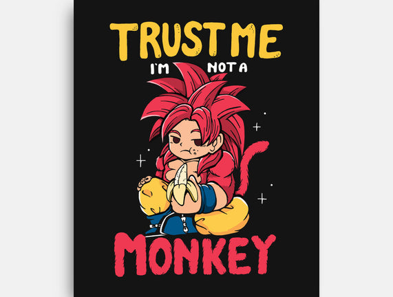 I'm Not A Monkey