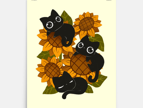 Sunflowers And Black Kitties