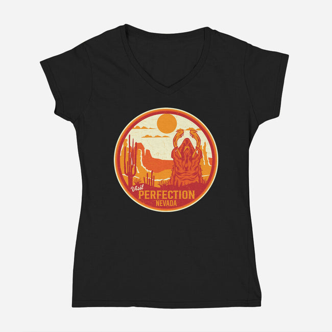 Visit Perfection-Womens-V-Neck-Tee-CarloJ1956