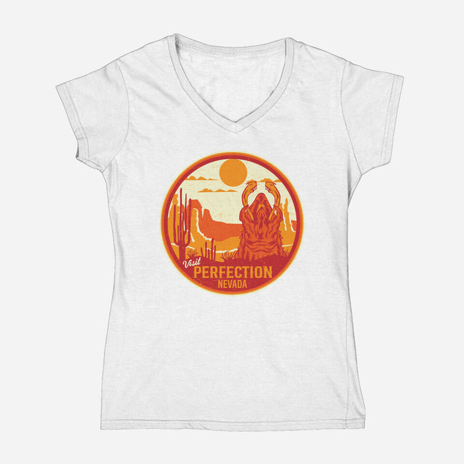 Visit Perfection-Womens-V-Neck-Tee-CarloJ1956