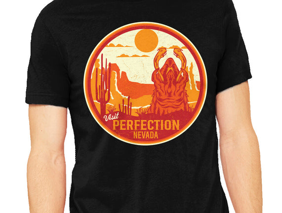 Visit Perfection