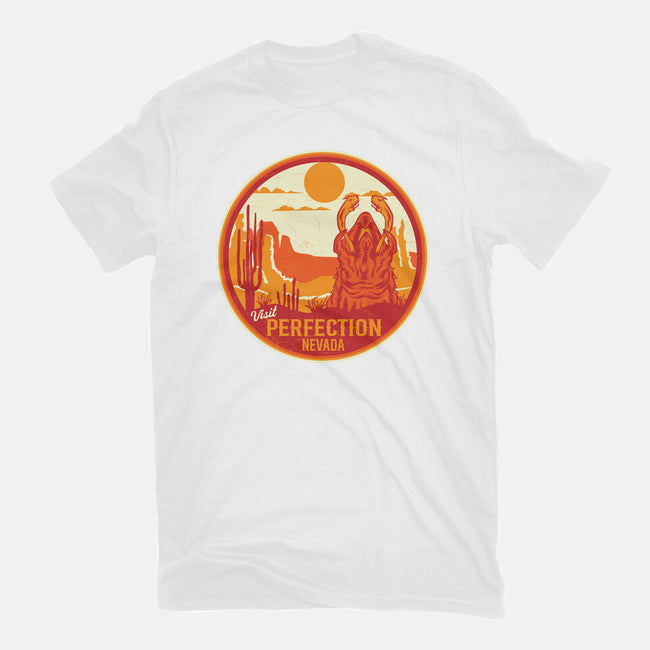 Visit Perfection-Womens-Basic-Tee-CarloJ1956