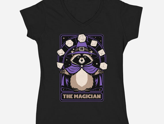 Raccoon RPG Wizard