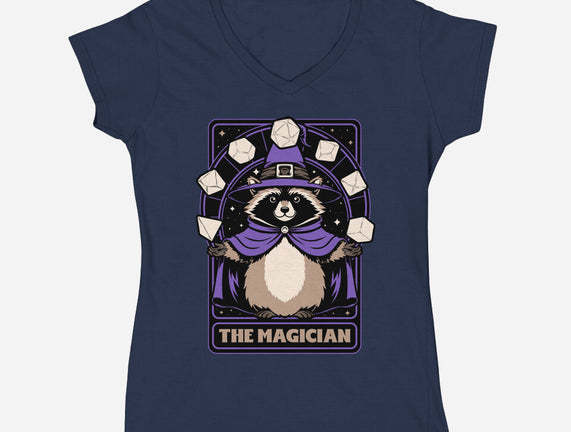 Raccoon RPG Wizard
