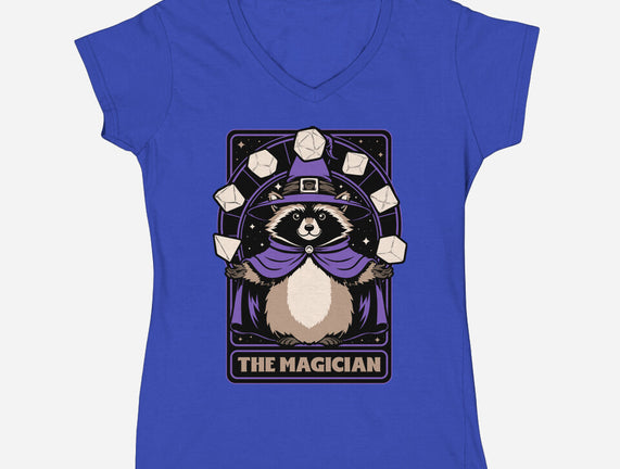 Raccoon RPG Wizard
