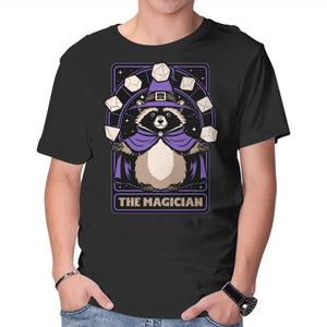 Raccoon RPG Wizard