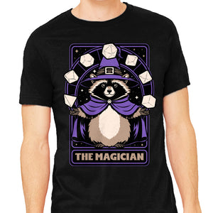 Raccoon RPG Wizard