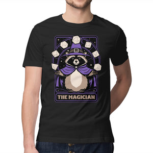 Raccoon RPG Wizard
