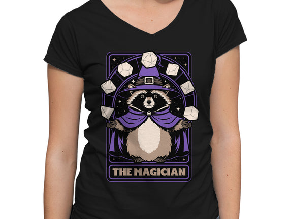 Raccoon RPG Wizard