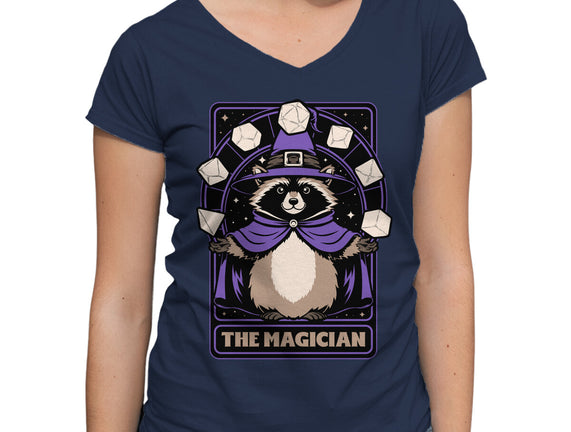 Raccoon RPG Wizard