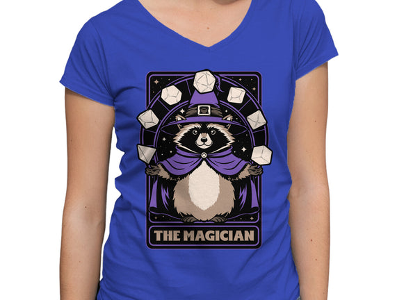 Raccoon RPG Wizard