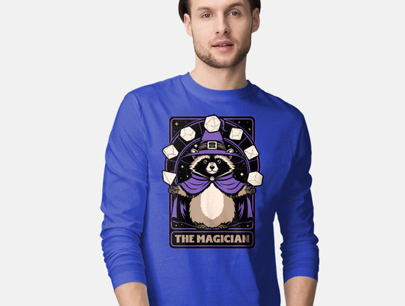 Raccoon RPG Wizard