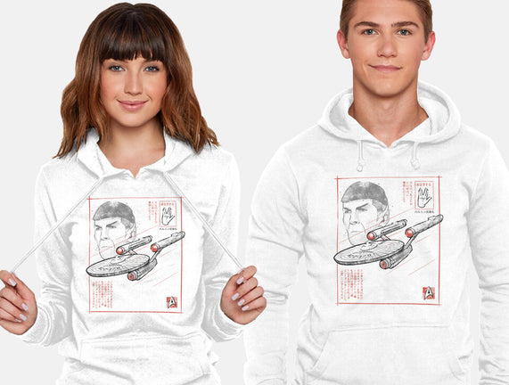 USS Enterprise Sumi-e