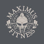 Maximus Fitness-Unisex-Pullover-Sweatshirt-teesgeex