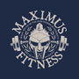 Maximus Fitness-Unisex-Pullover-Sweatshirt-teesgeex