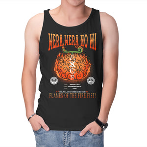 Mera Mera No Mi Devil Fruit