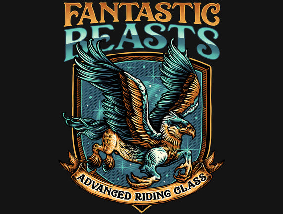 Advanced Riding Class