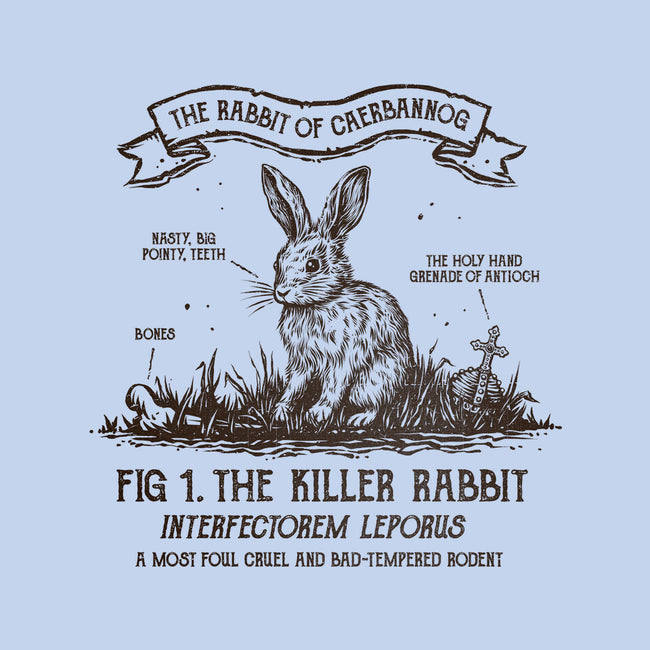 The Rabbit Of Caerbannog-Mens-Heavyweight-Tee-kg07