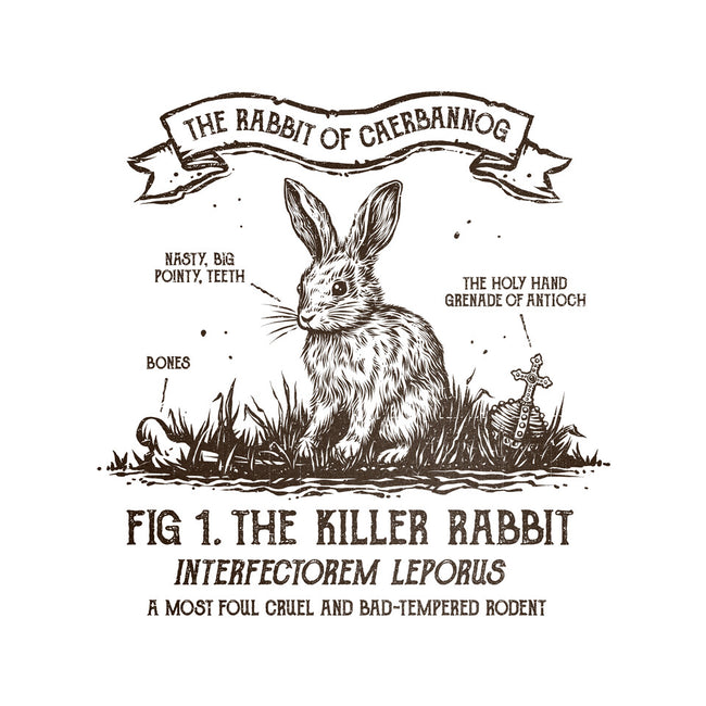 The Rabbit Of Caerbannog-Mens-Heavyweight-Tee-kg07